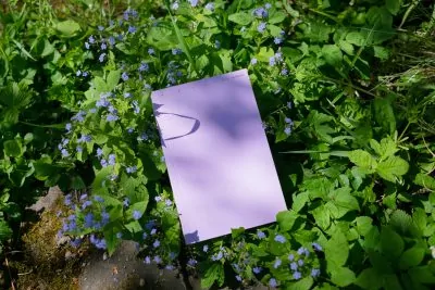 Book for Artist Laura Becker