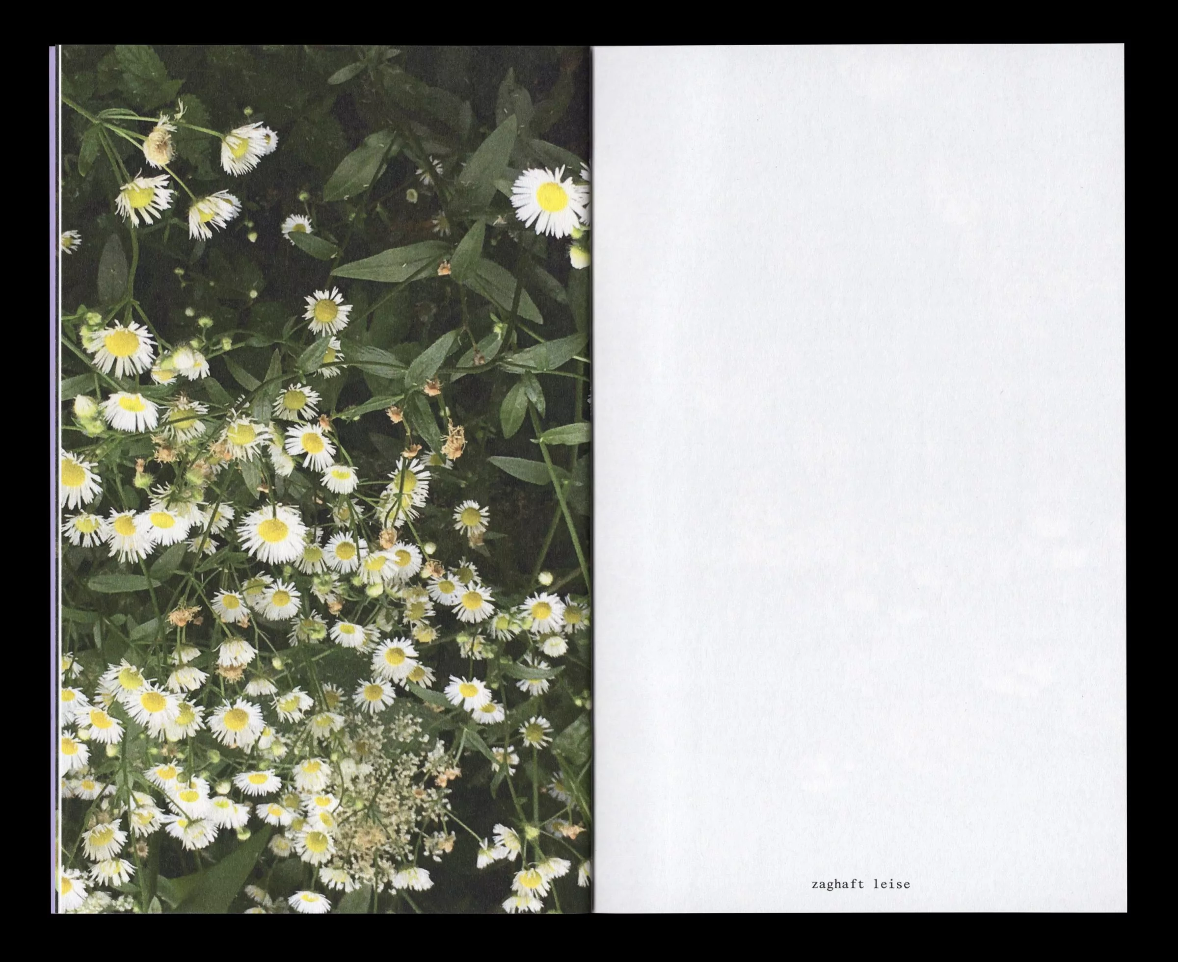 Book for Artist Laura Becker