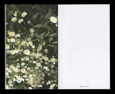 Book for Artist Laura Becker