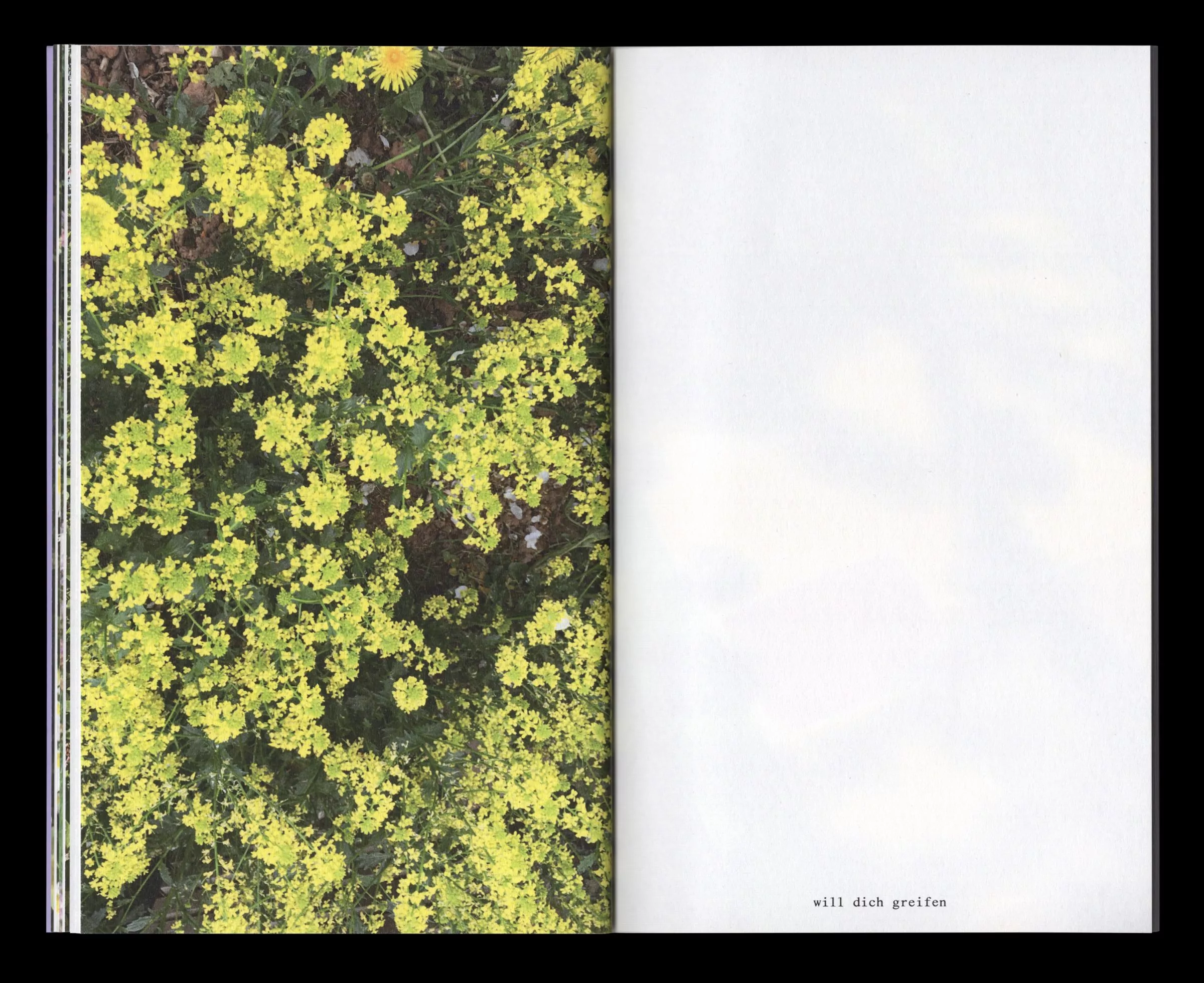 Book for Artist Laura Becker