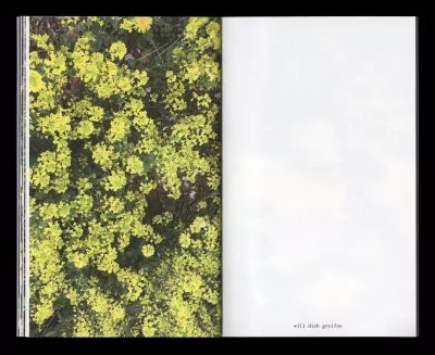 Book for Artist Laura Becker