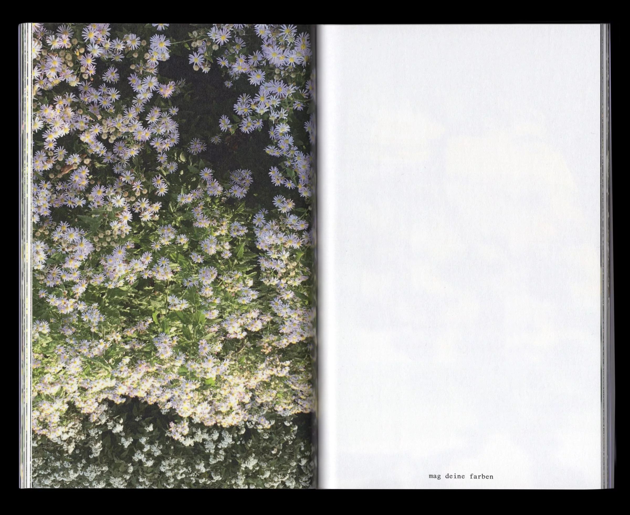 Book for Artist Laura Becker