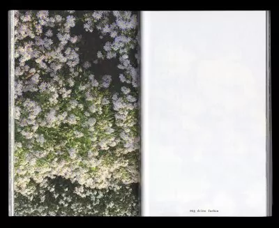 Book for Artist Laura Becker