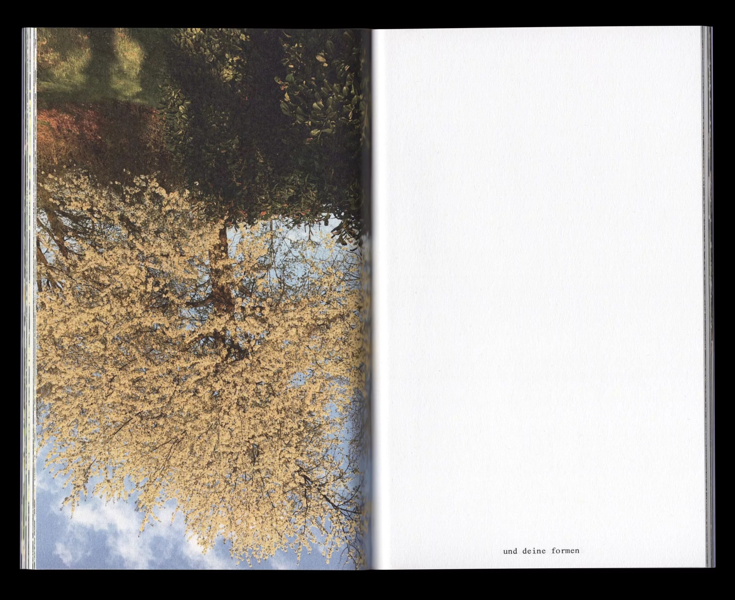 Book for Artist Laura Becker